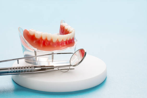 Best Dental Exams and Cleanings  in Brockport, NY
